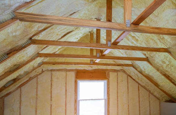 Best DIY Insulation Kits and Guidance in Savanna, IL