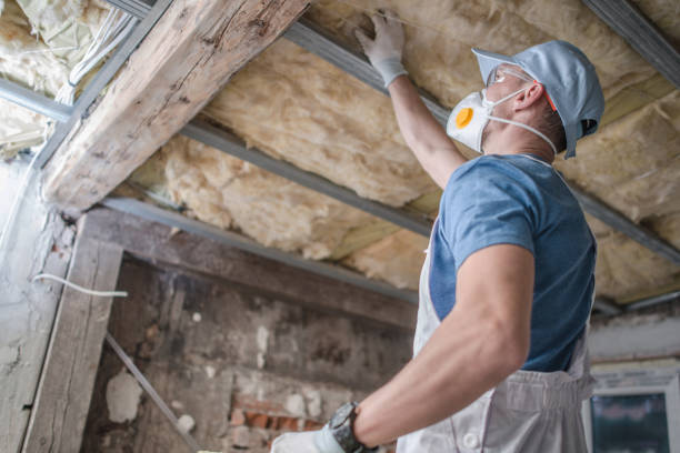 Best Spray Foam Insulation in Savanna, IL