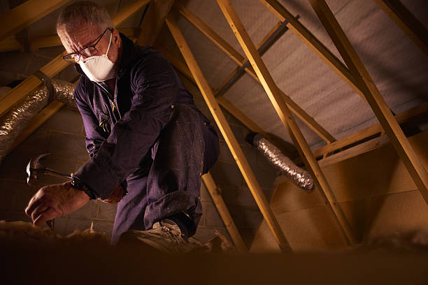Best Spray Foam Insulation in Savanna, IL
