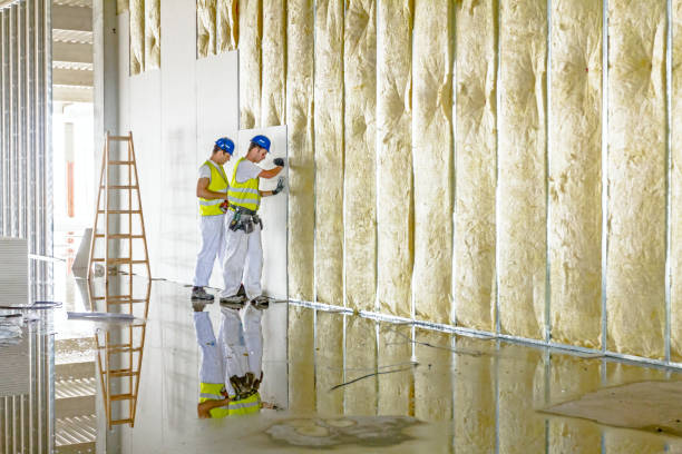 Savanna, IL Insulation Contractor Company